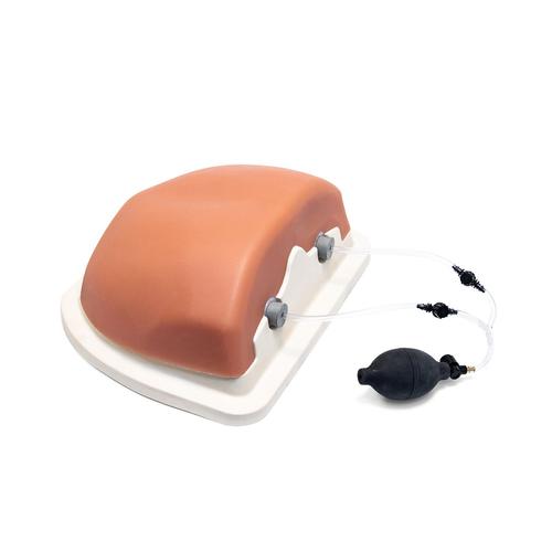 Thoracic Spinal Injection Trainer - Image Guided - 3B