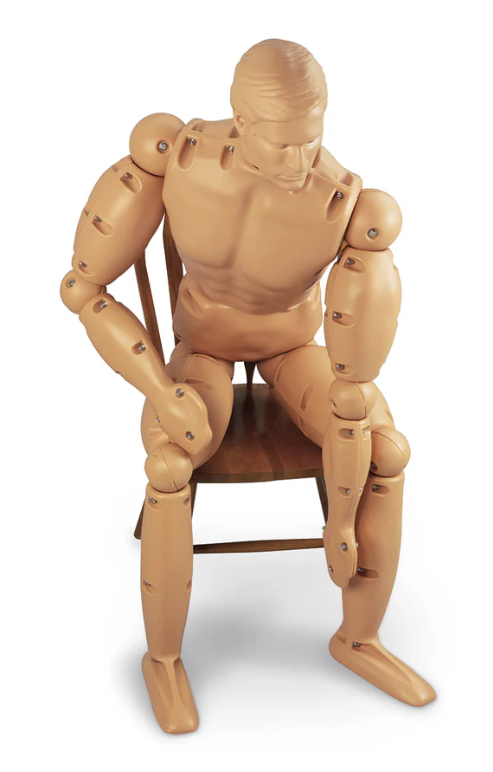 Randy 9000 - Nasco