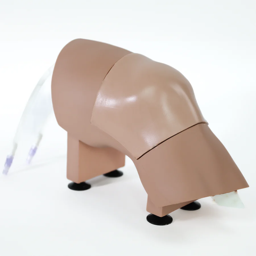 Arthrocentesis Model -Simulab