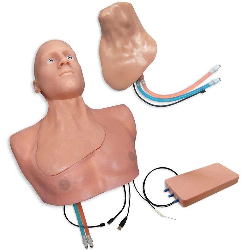 Regional Anesthesia with SmarTissue Training Package & Articulating Head - Simulab