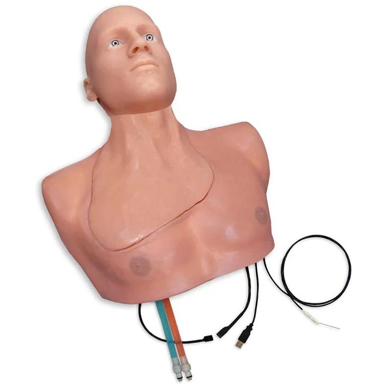 Regional Anesthesia Trainer with SmarTissue and Articulating Head - Simulab