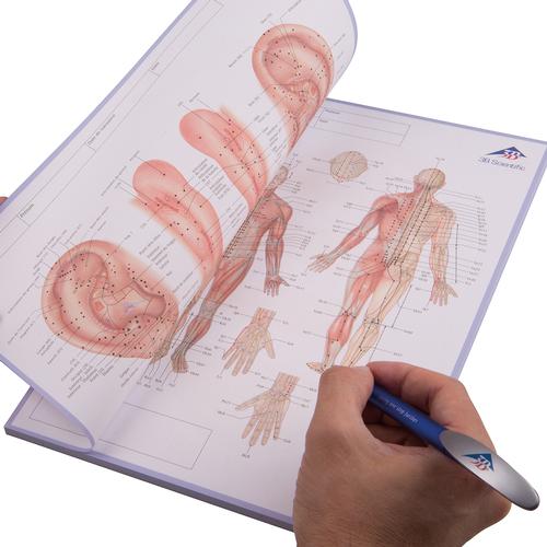Meridian notepad