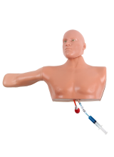 PICC LineMan Trainer with Articulating Head - Simulab
